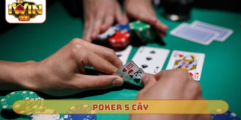 Porker 5 cây